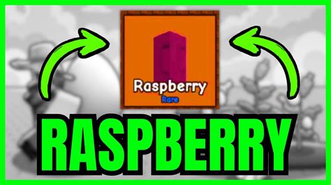 Grow A Garden Raspberry Roblox