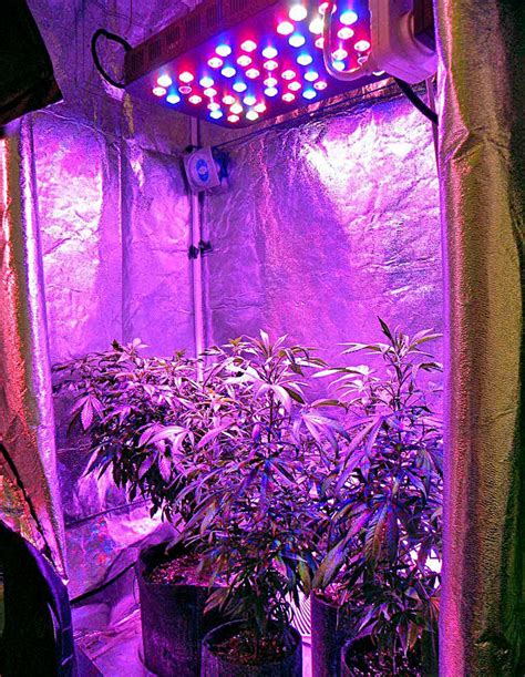 Grow Tent Lighting
