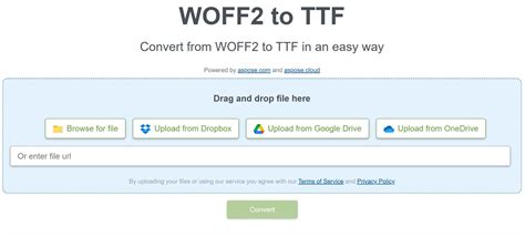 Grow Your Website Faster: How to Easily Convert to Web Fonts