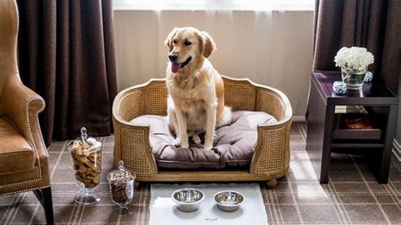 Growing Trend, Pet Friendly Hotel