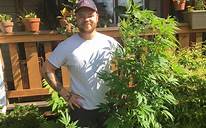Growing Marijuana in Georgia
