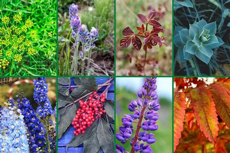 Growing more dangerous