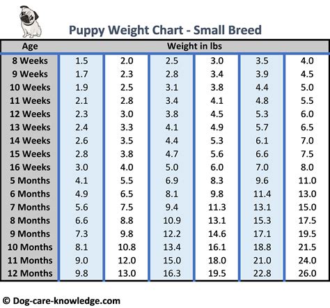 Growth Chart For Small Dogs