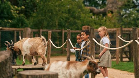 Gruffalo Interactive Zones