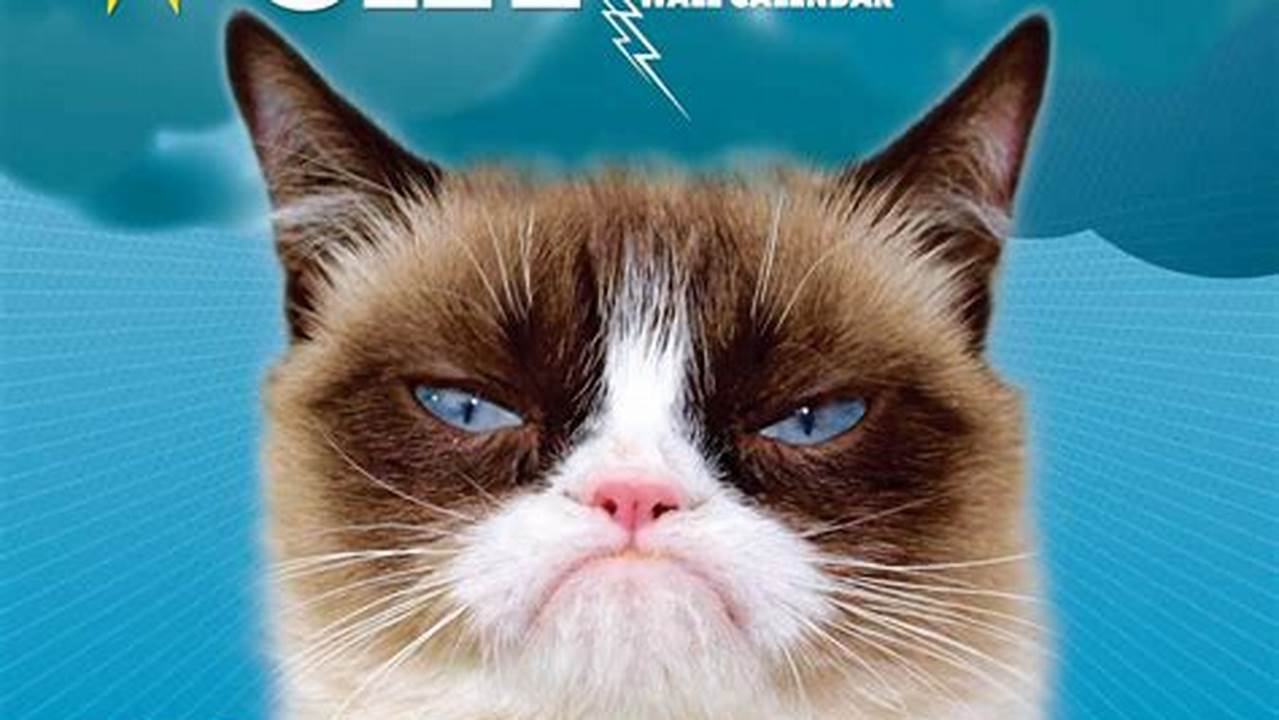 Grumpy Cat Calendar 2025