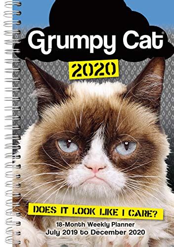 Grumpy Cat 2020
