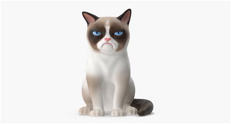 Grumpy Cat 3d Model