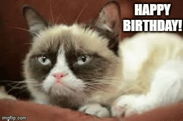 Grumpy Cat Birthday Gif
