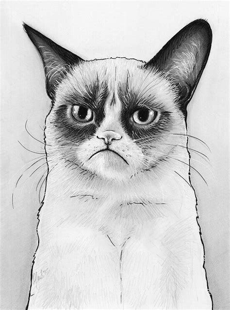 Grumpy Cat Black And White