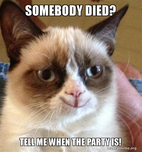 Grumpy Cat Dead Meme
