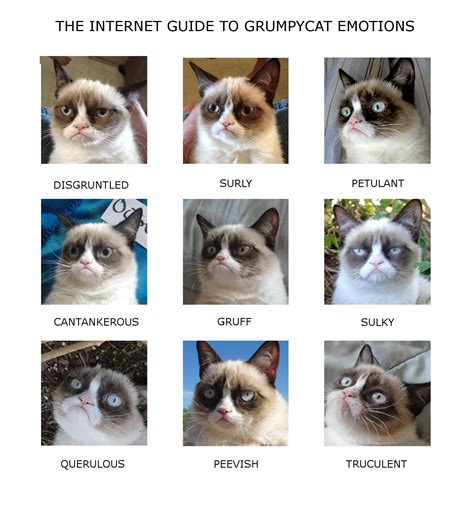 Grumpy Cat Emotions
