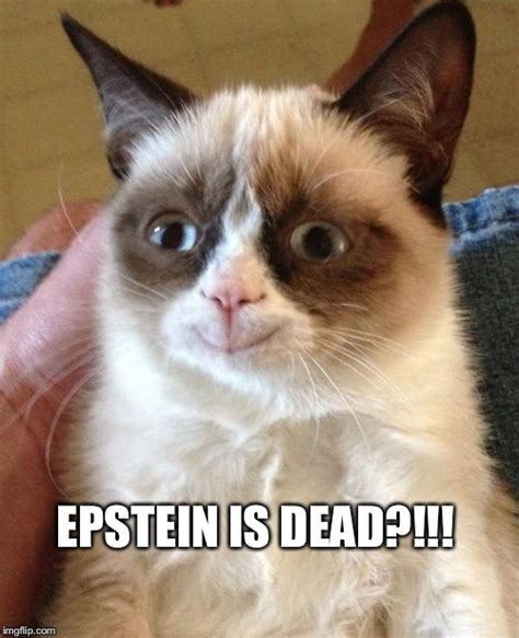 Grumpy Cat Epstein