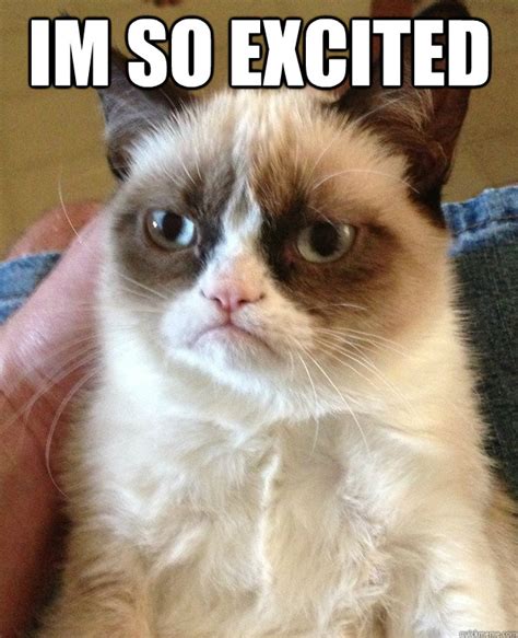 Grumpy Cat Excited Meme