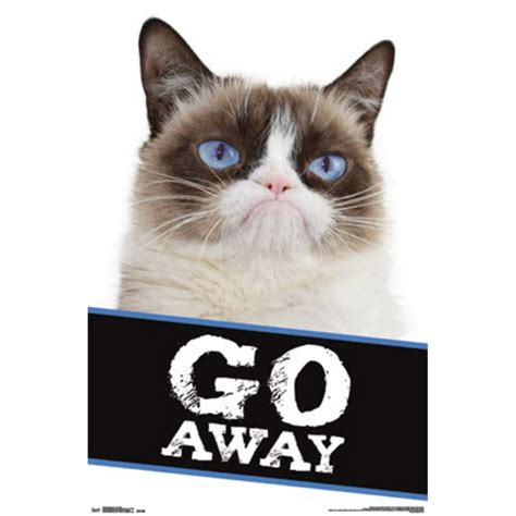Grumpy Cat Go Away