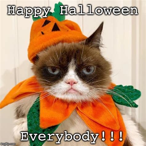 Grumpy Cat Halloween Meme