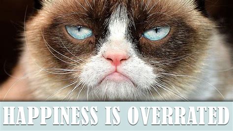 Grumpy Cat Happy