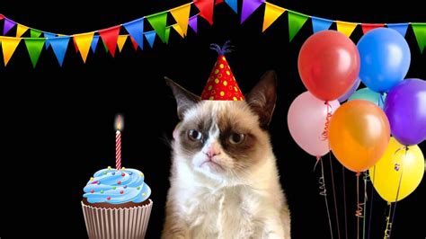 Grumpy Cat Happy Birthday
