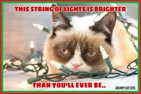 Grumpy Cat Holiday Memes
