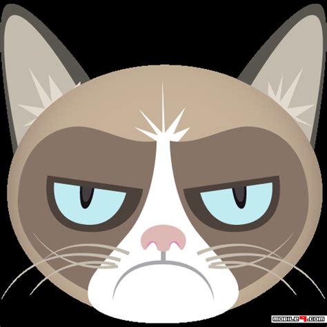 Grumpy Cat Icon
