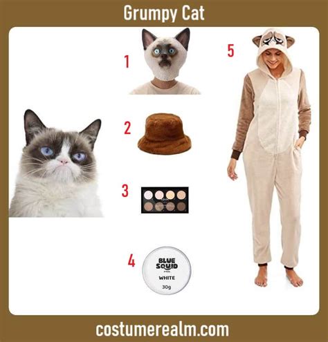 Grumpy Cat In Costume