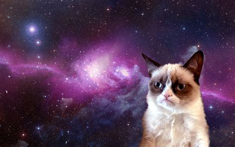 Grumpy Cat In Space