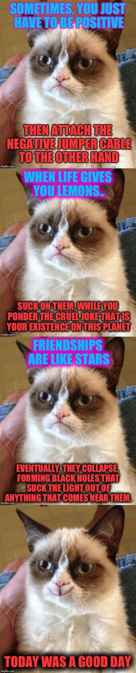 Grumpy Cat Inspirational Quotes