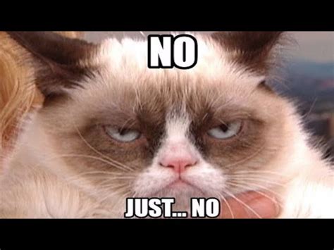 Grumpy Cat Just No