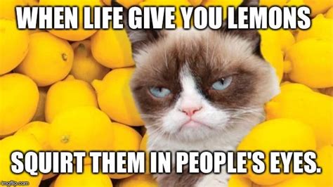 Grumpy Cat Lemons