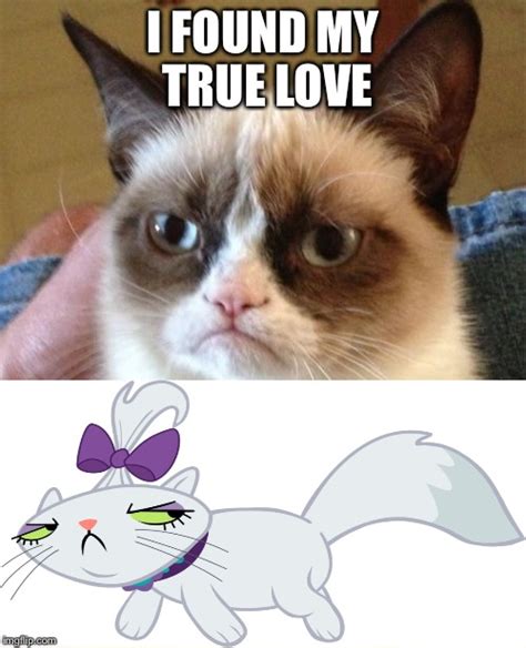Grumpy Cat Love
