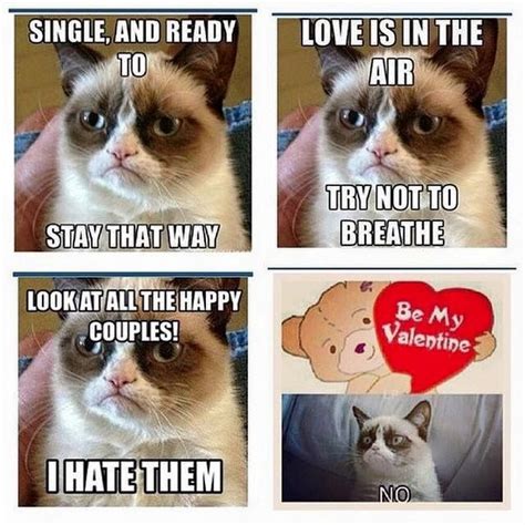 Grumpy Cat Love Meme