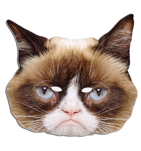 Grumpy Cat Mask