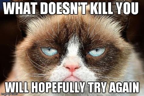 Grumpy Cat Meme Generator