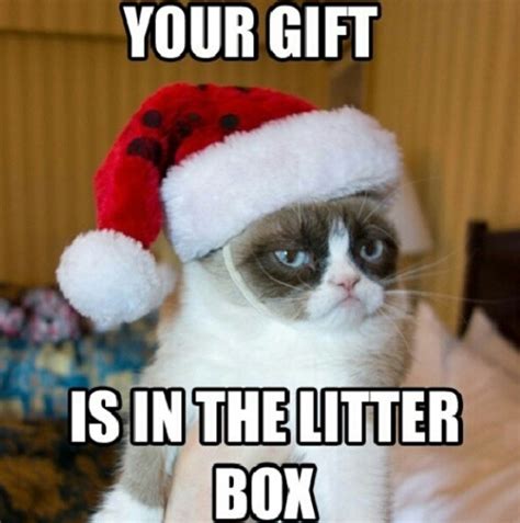 Grumpy Cat Memes Clean Christmas