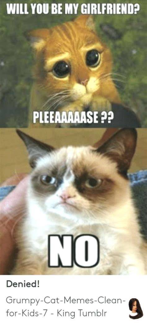 Grumpy Cat Memes Clean For Kids