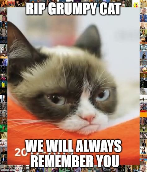 Grumpy Cat Rip