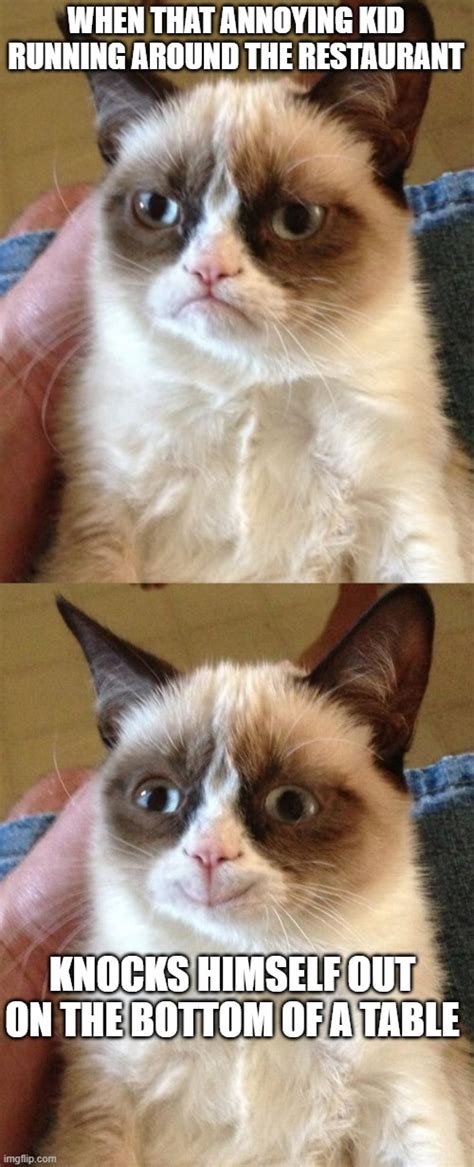 Grumpy Cat Running Meme
