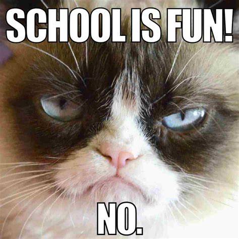 Grumpy Cat School Memes