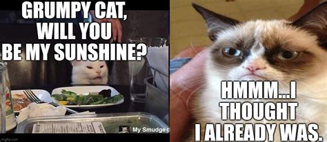 Grumpy Cat Smudge Meme
