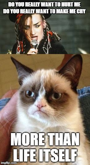 Grumpy Cat Song Memes