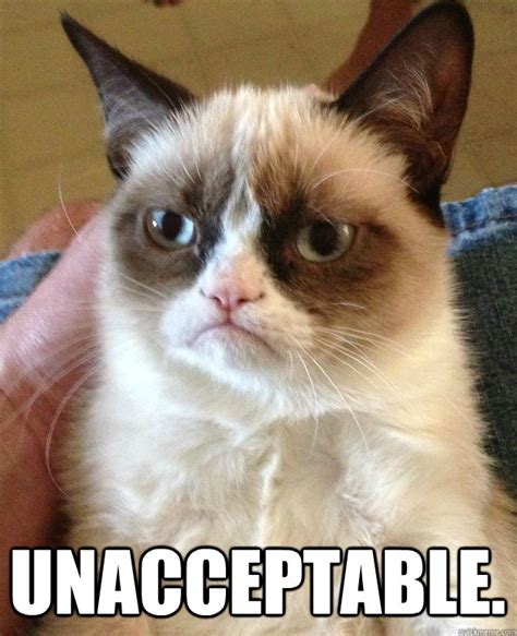 Grumpy Cat Unacceptable Meme