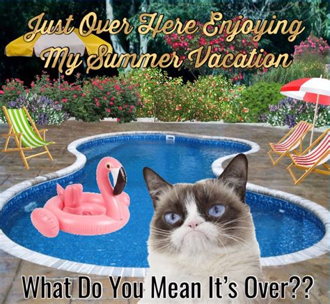 Grumpy Cat Vacation