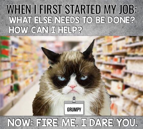 Grumpy Cat Work Meme