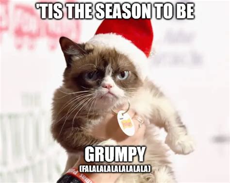 Grumpy Cat Xmas Memes