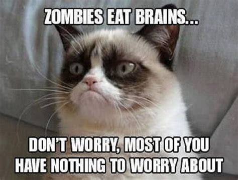 Grumpy Cat Zombie Meme