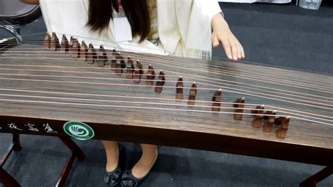 Gu Zheng Playability