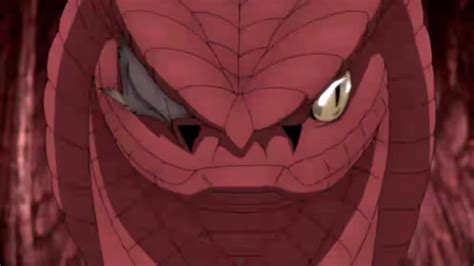 Misteri Gua Ryuchi: Keajaiban Alam yang Menakjubkan