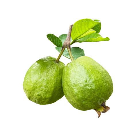 Guava & Pregnancy: Nutrition, Benefits, Safe Consumption.