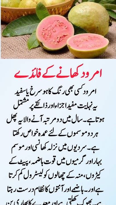Guava in Urdu