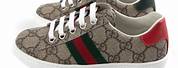 Gucci Ace Sneakers Brown