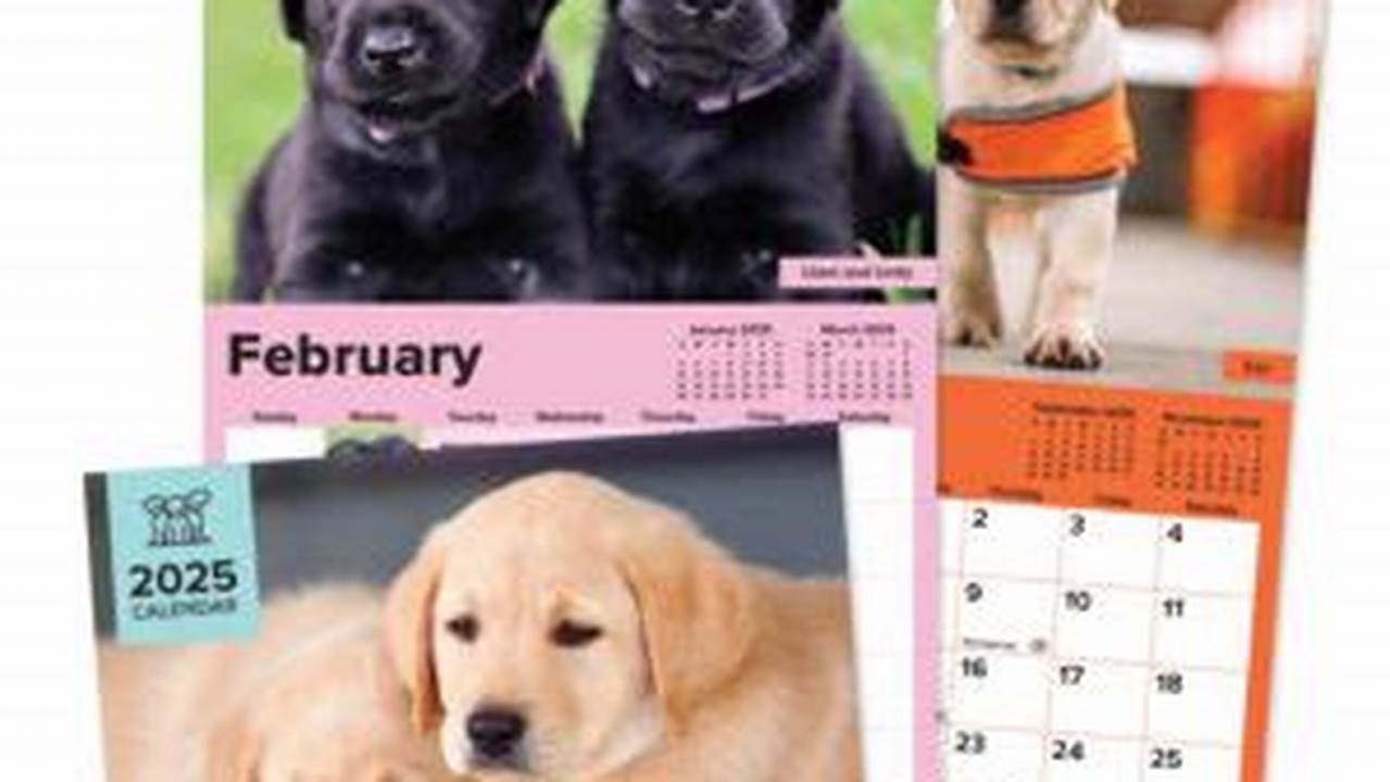 Guide Dogs Calendar